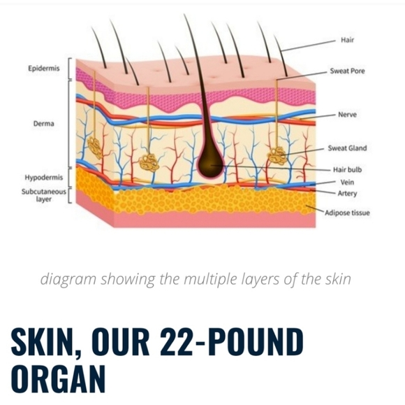 Natural Organic Moonlight Roses Bath Bombs - Picture 14 of 15